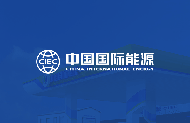 中国国际能源品牌网站建设案例